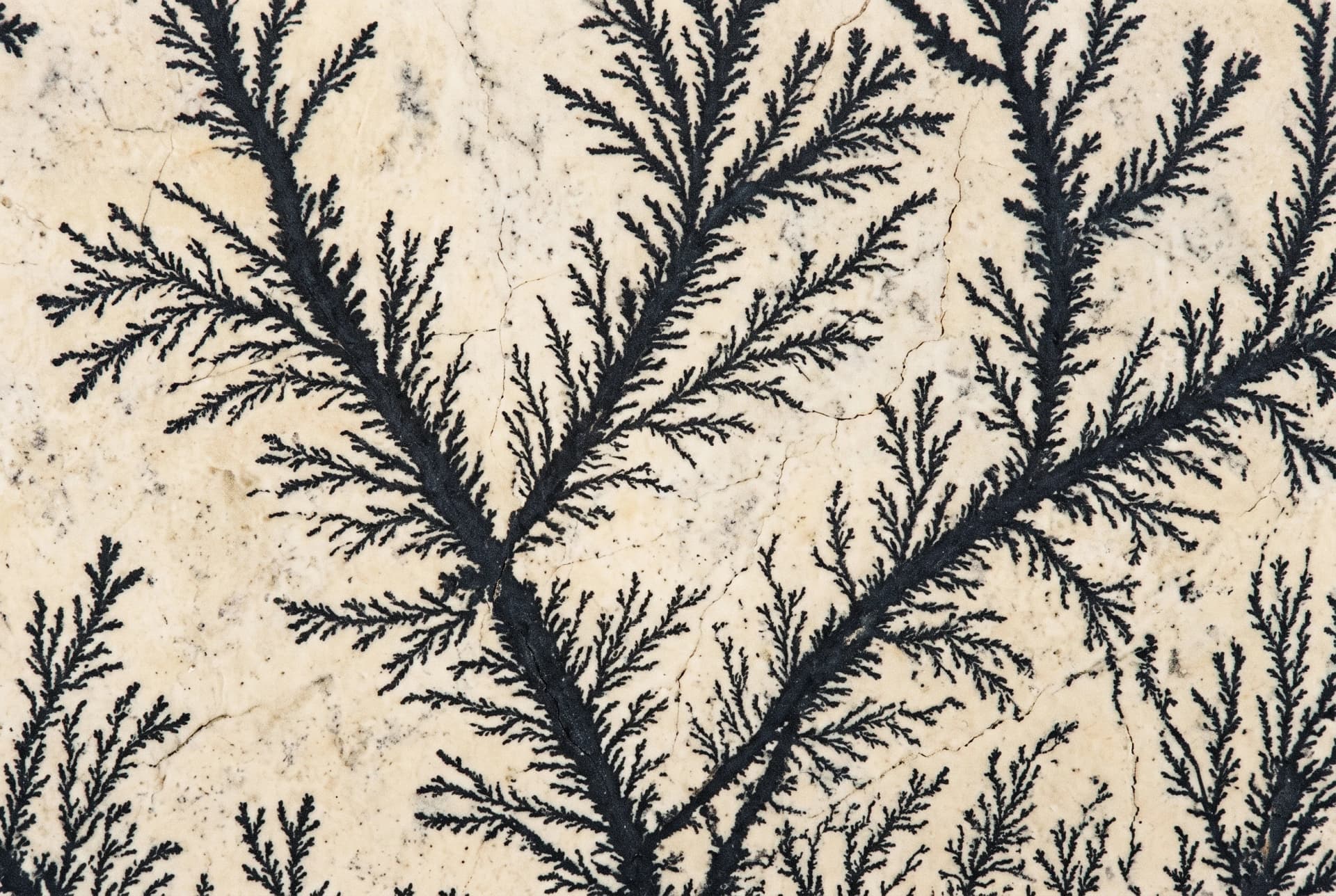 A dendritic drainage pattern seen from above