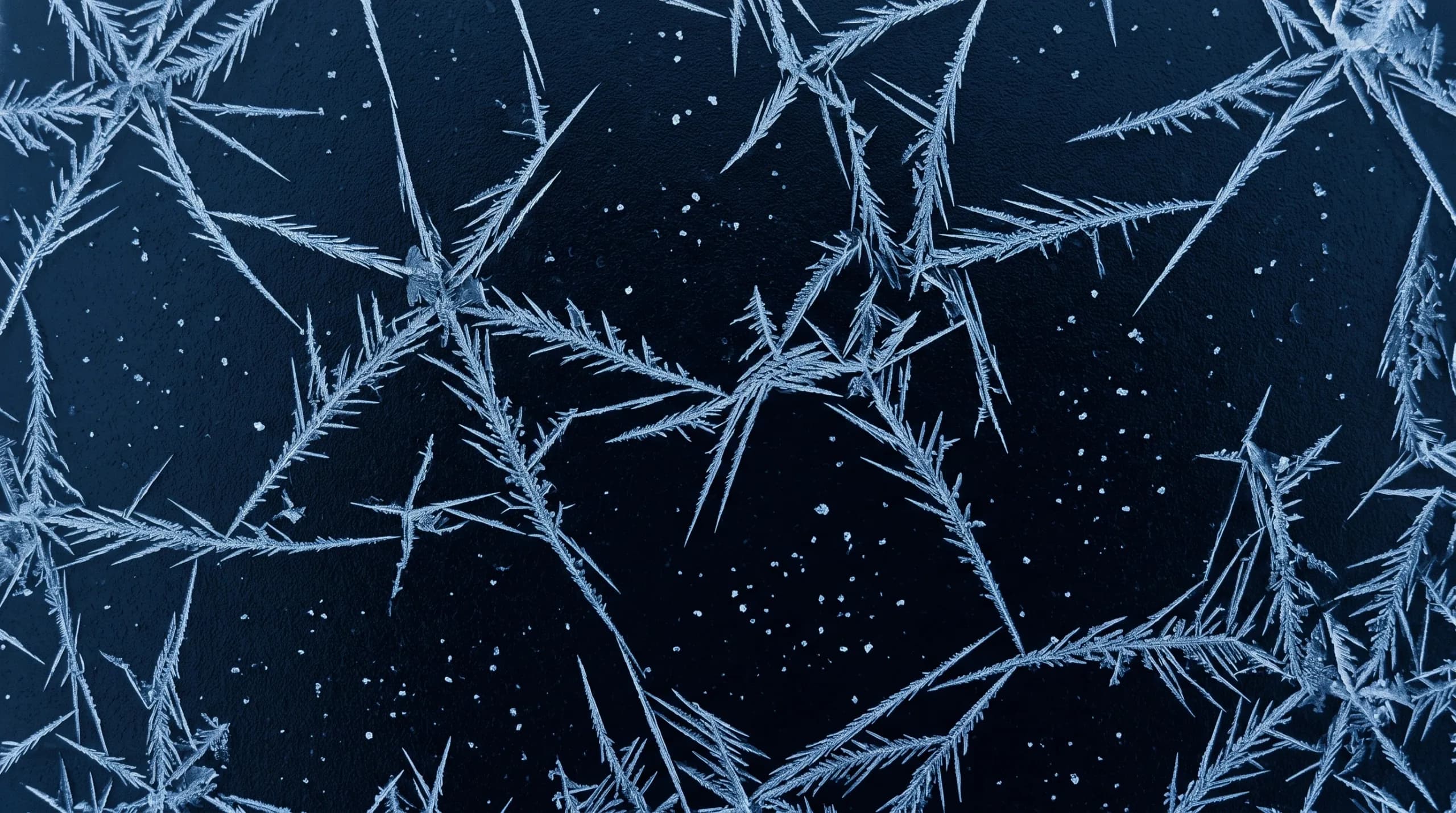 Frost crystals spreading across dark glass